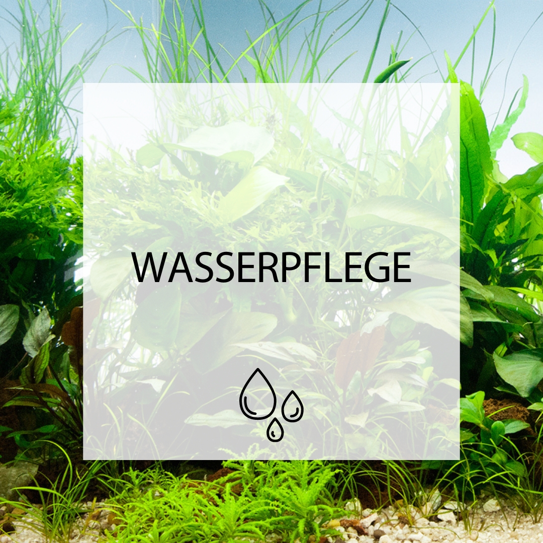 Wasserpflege