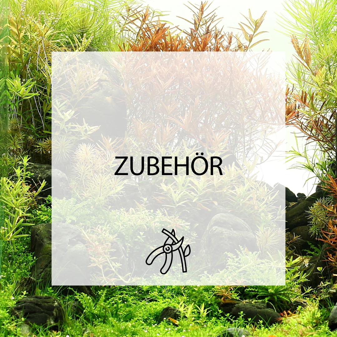Zubehör