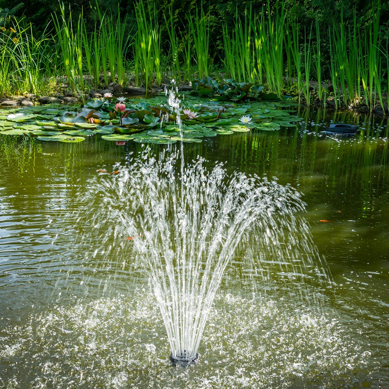 Gartenteich