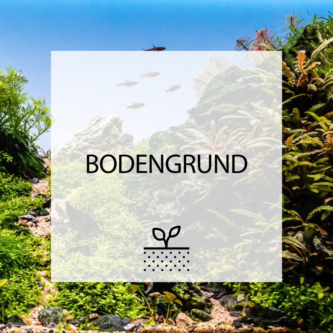 Bodengrund