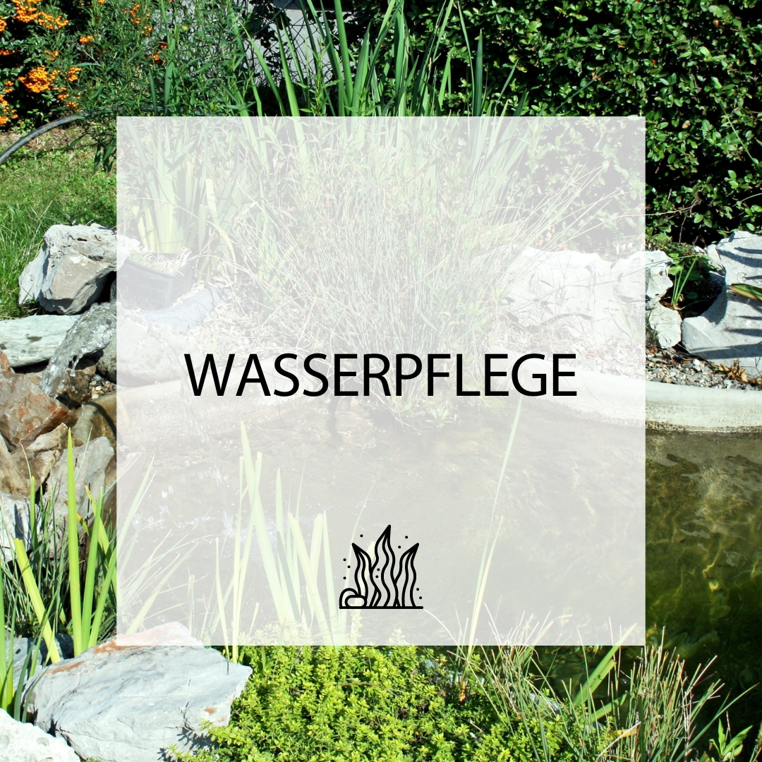 Wasserpflege