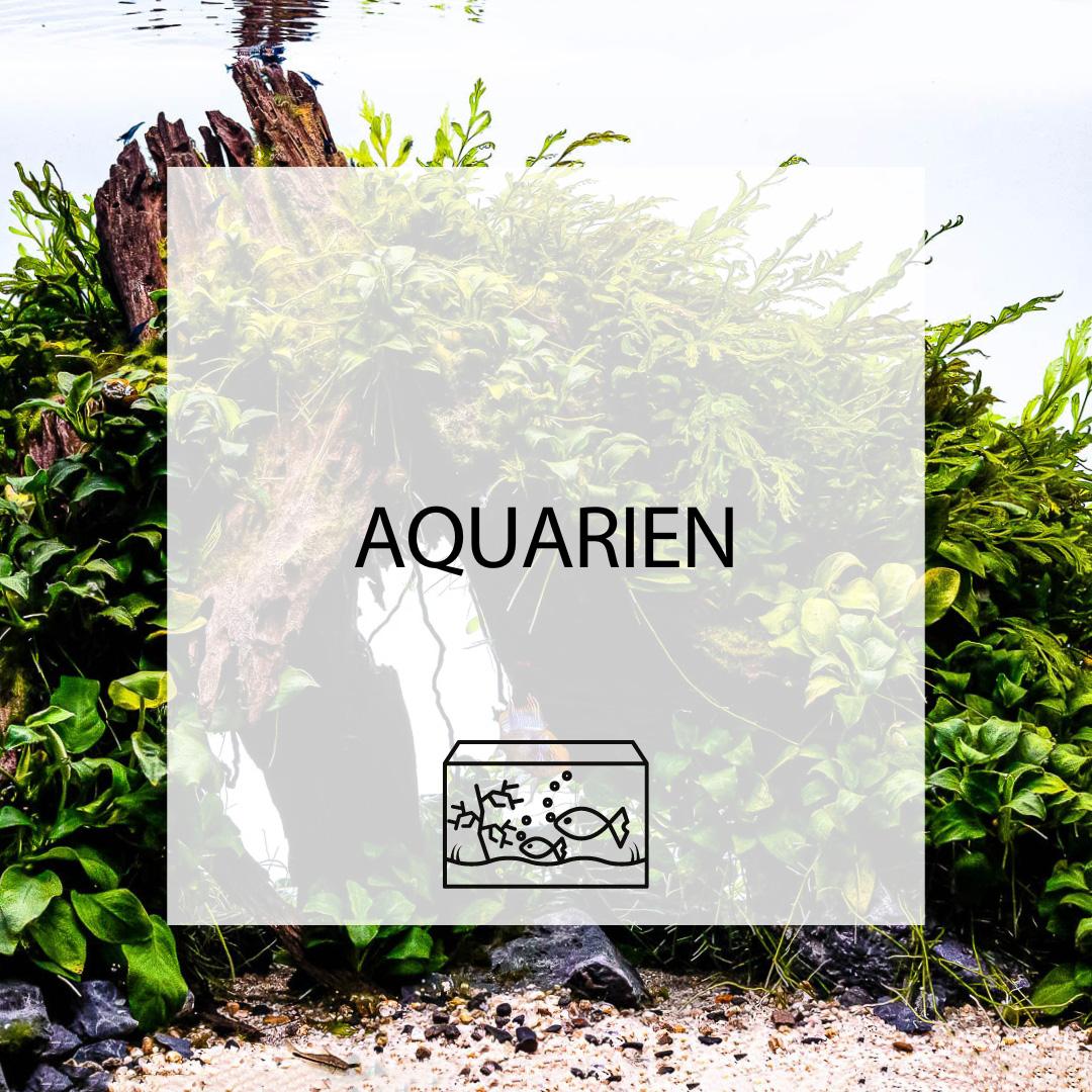 Aquarien