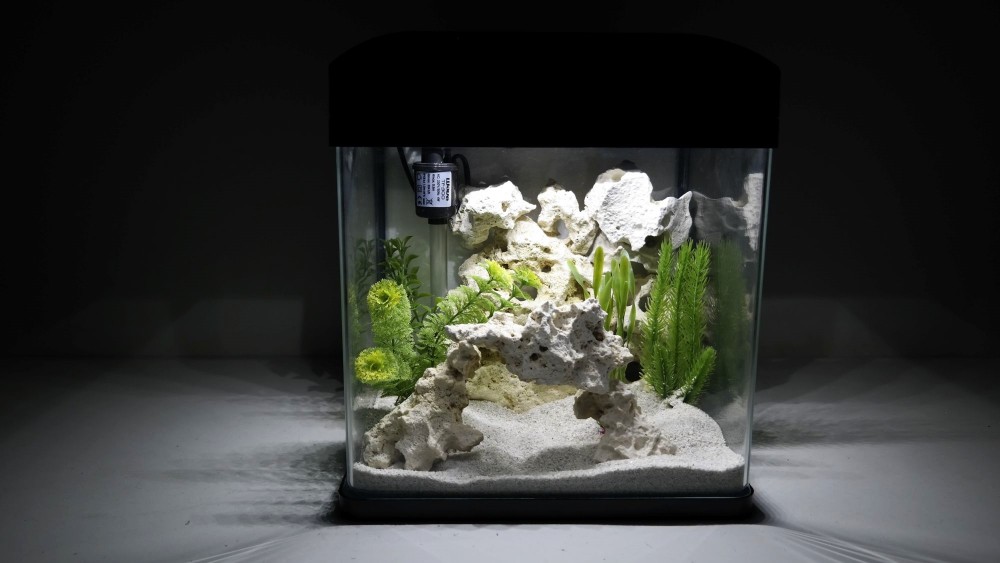 Nano Aquarium Laguna in schwarz Komplettaquarium _3
